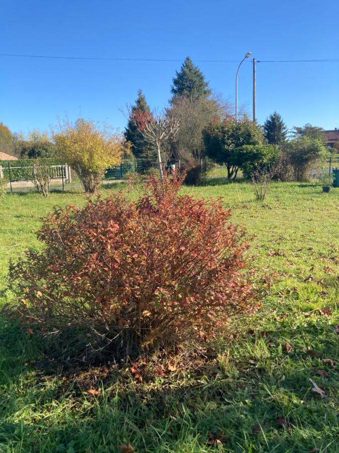 Au Petit Bonheur Le Bugue Exterior foto